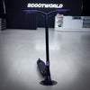 Black/Purple